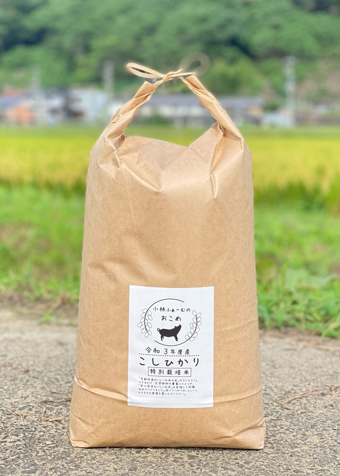 【令和5年産】京都丹波コシヒカリ 特別栽培米 10kg