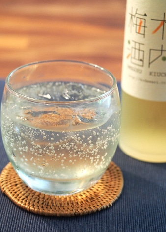 日本一に輝いた梅酒入りのセット「木内梅酒・柚子ワイン・梅果実酒（ワイン） 500ml3本セット」