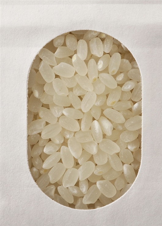 【定期便】無農薬・無化学肥料　コウノトリを呼び戻す農法米    白米（極旨精米）1kg 2セット