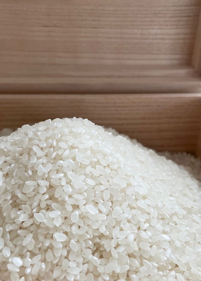 自然農法産 無農薬玄米１０kg プレミアムオーガニック「あいちのかおり」R15食品/飲料/酒