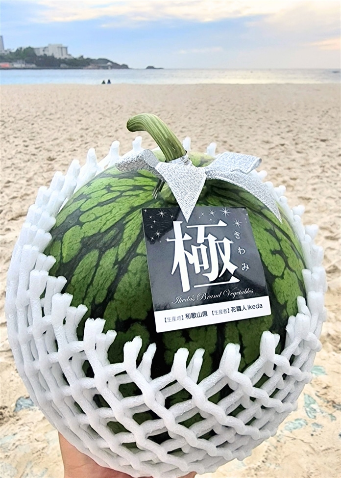 極（kiwami）スイカ 2玉入