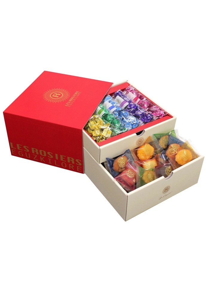 【銀座京橋 レ ロジェ エギュスキロール】銀座プチガトー＆ショコラ