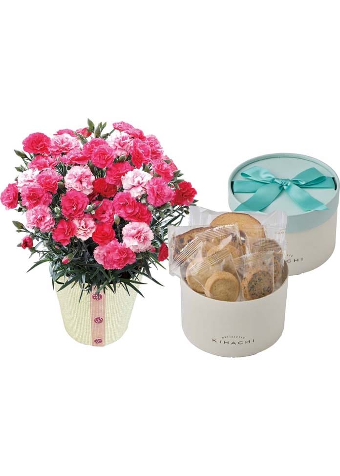 カーネーション（さくらもなか）と「パティスリー キハチ」アソートBOX（母の日カード付き）