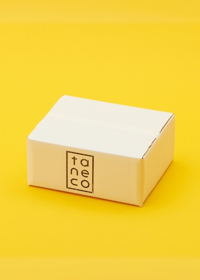 熟成 種子島安納いも（生いも）2kg