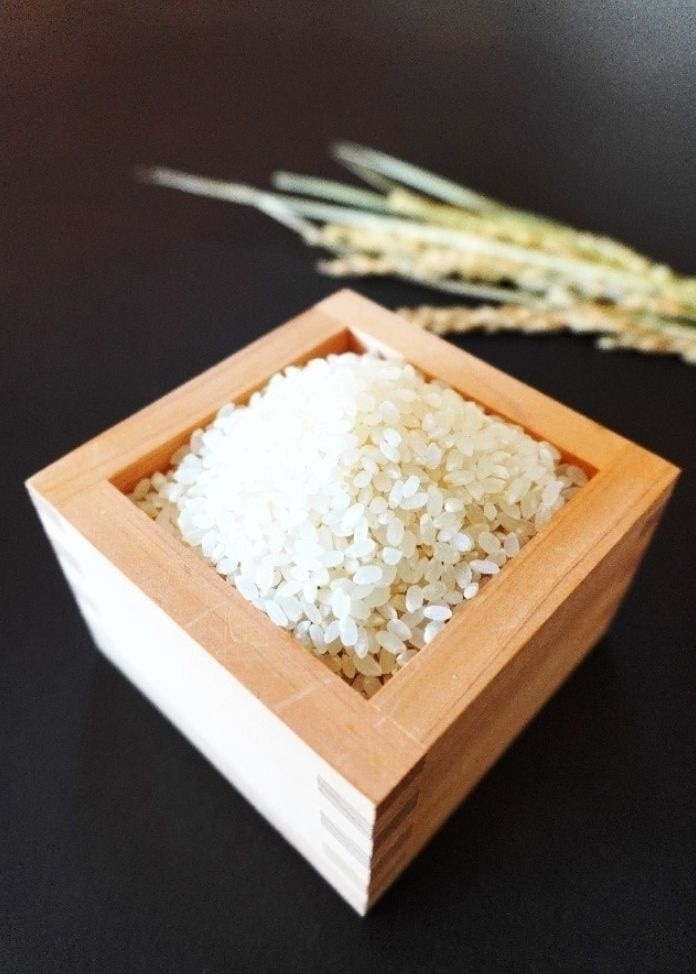 定期便 新米【令和7年産】阿波照-長生米-有機JAS(農薬・化学肥料不使用) 白米 5㎏