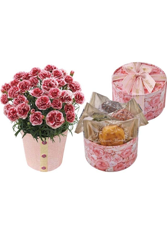カーネーション（いちごホイップ）と「パティスリーモンシェール」エタニティーローズ（母の日カード付き）