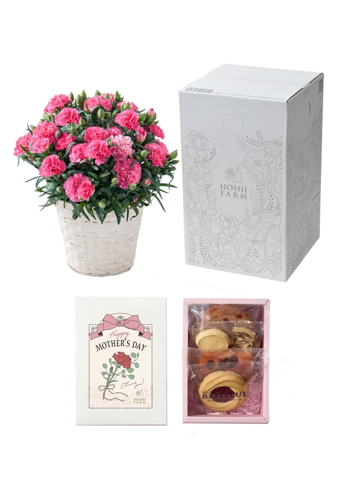 【ホシファーム】カーネーション＆焼菓子アソート5個