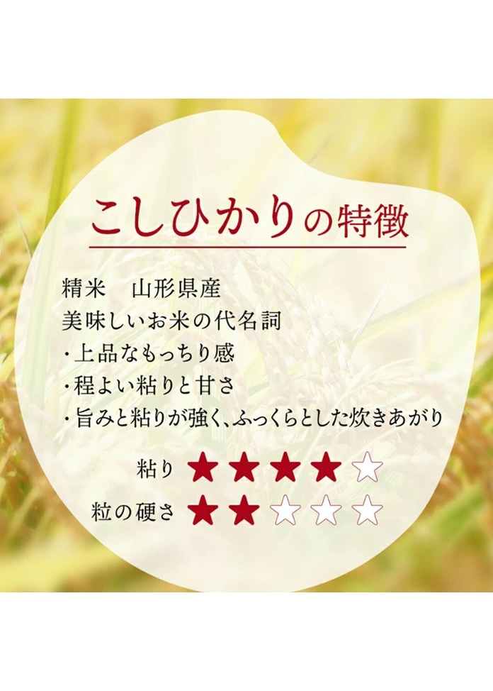 【令和7年産】山形県産こしひかり5kg