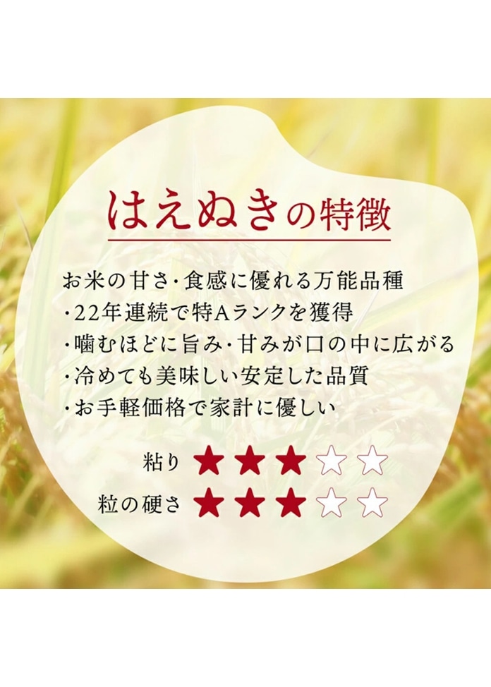 【令和7年産】山形県産はえぬき5kg