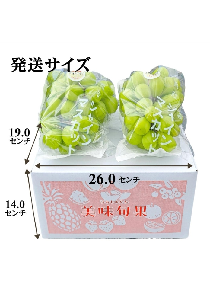 シャインマスカット 1.2kg（2房）【鳥取県・長野県産】