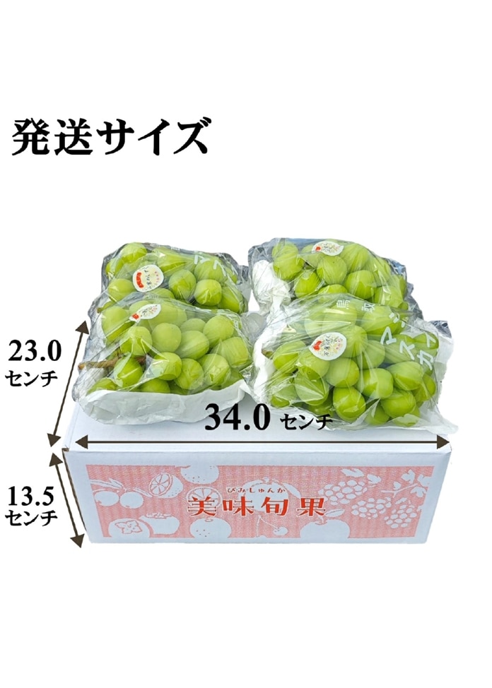 シャインマスカット 2kg（4～5房）【鳥取県・長野県産】
