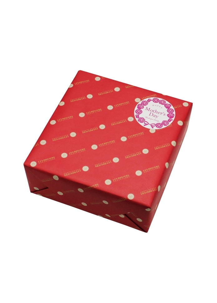 【銀座京橋 レ ロジェ エギュスキロール】銀座プチガトー（母の日仕様）