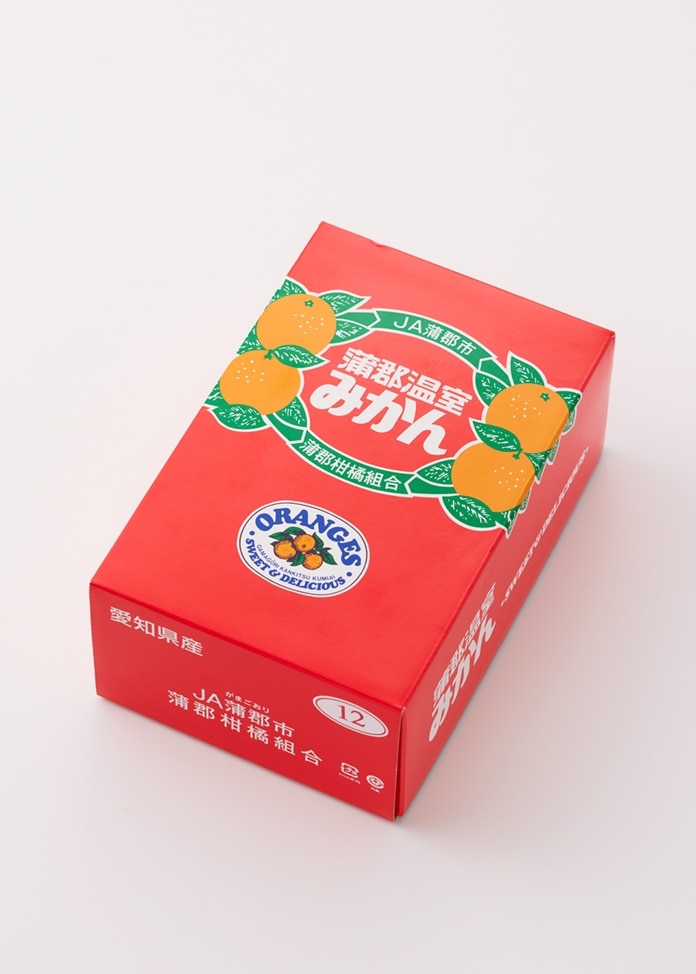 愛知県産 蒲郡温室みかん