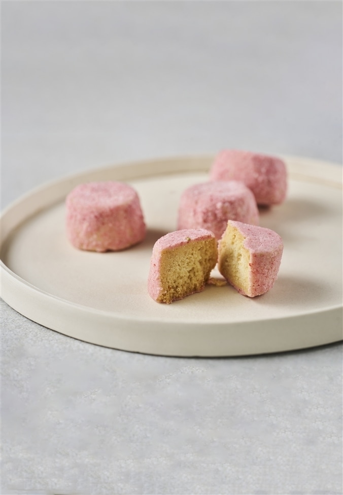 しあわせの種 12個セット