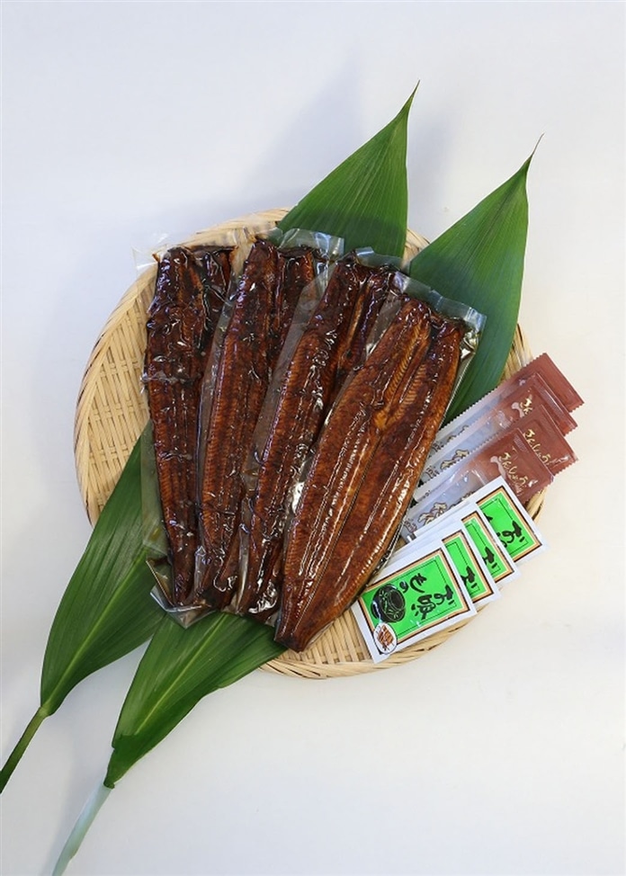 浜松・浜名湖うなぎ特大蒲焼（4人前）