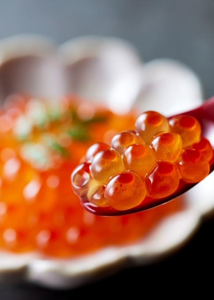 トラウトサーモンルイベ漬＆大人の逸品B