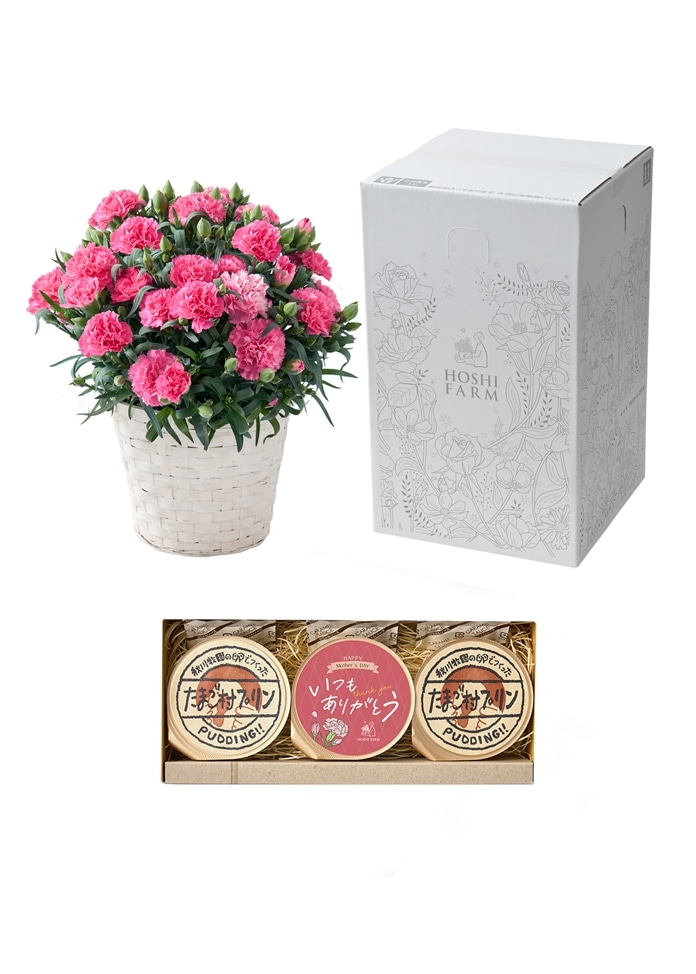 【ホシファーム】カーネーション＆たまご村プリン3個