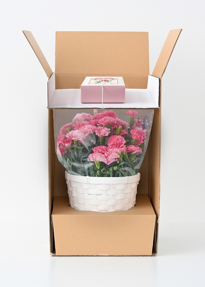 【ホシファーム】カーネーション＆焼菓子アソート5個