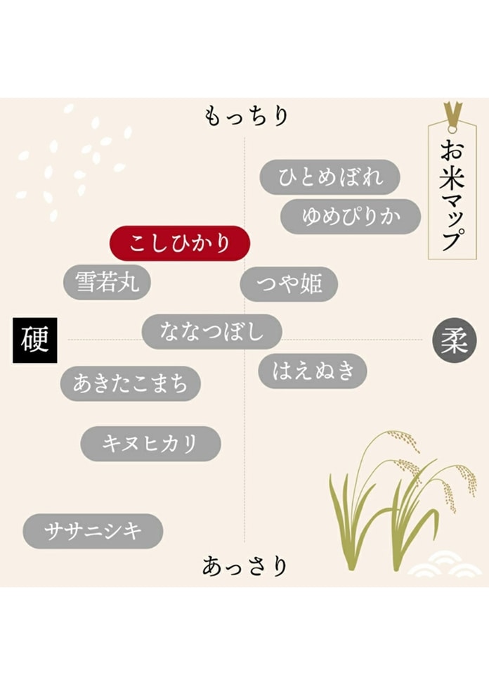 【令和7年産】山形県産こしひかり5kg
