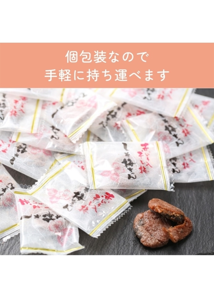 赤じそ入り 干し梅 しそ梅ちゃん 個包装 種なし 90g