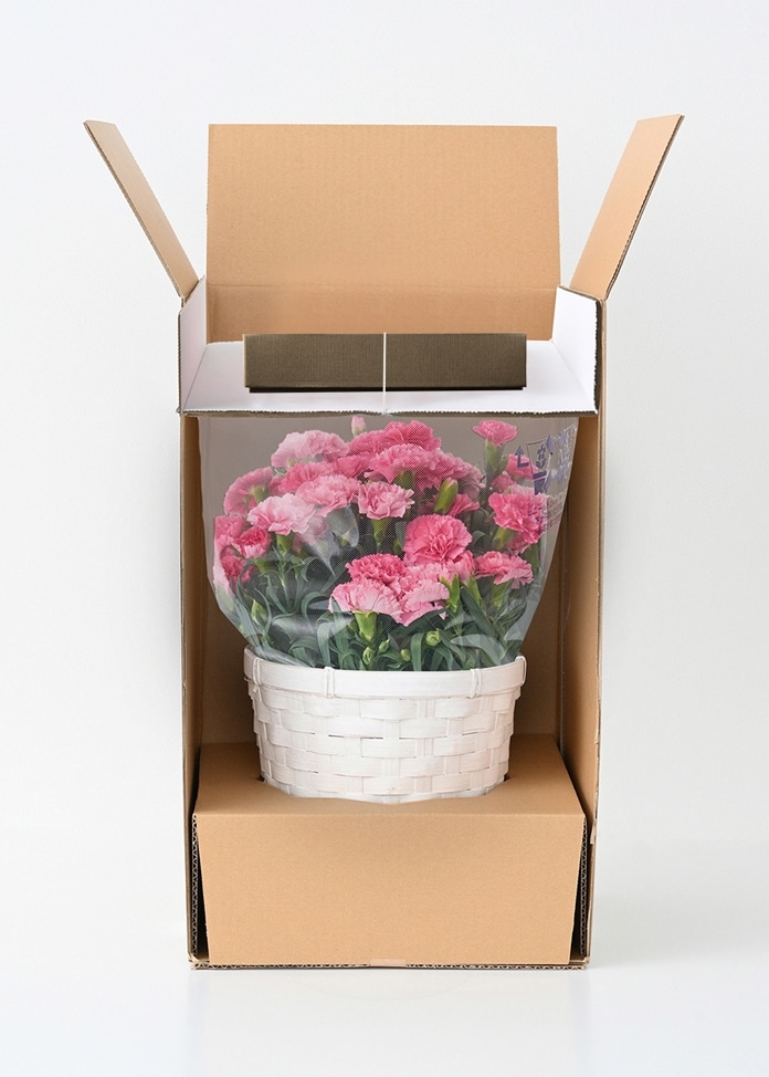 【ホシファーム】カーネーション＆焦がしキャラメルがしみ込んだバーム4個