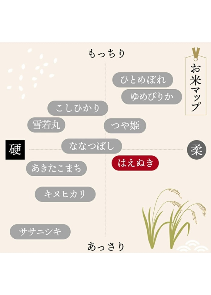 山形県産はえぬき10kg／無洗米