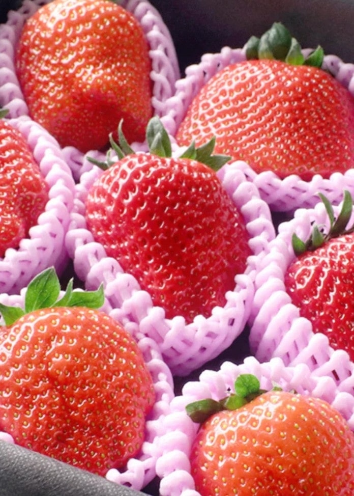 【冬／春限定】朝採れいちご（大粒・500g）