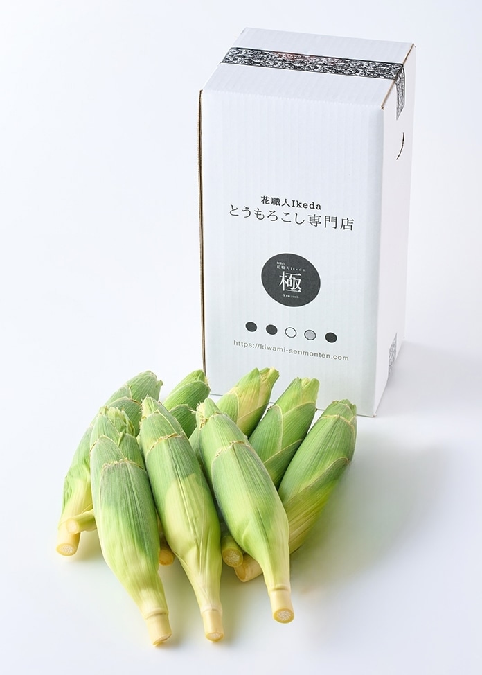 ホワイトコーン極（kiwami）レギュラー 8本入