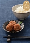 和歌山県ほりぐち農園 畑の梅