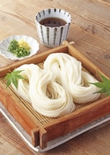 【稲庭うどん】稲庭絹女うどん 紙箱入り 10人前