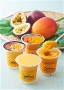 限りなくマンゴーに近いマンゴープリン&トロピカルプリン各4個入