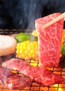 飛騨牛 焼肉用 肩ロース 500g