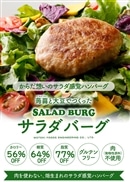 サラダバーグ90g×10個