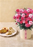 カーネーション（さくらもなか）と「パティスリー キハチ」アソートBOX（母の日カード付き）