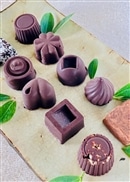 オーガニックビター＆生チョコセット＜10種類/10個＞