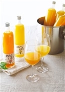 【伊藤農園】3種の柑橘ジュース飲み比べセット