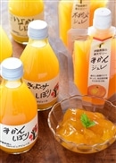 【伊藤農園】柑橘ジュース×寒天ジュレ