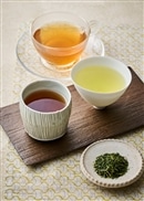 【農薬不使用・有機肥料栽培】煎茶 ほうじ茶 紅茶 シングルオリジンティー3種