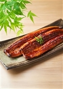 浜松・浜名湖うなぎ特大蒲焼(4人前)
