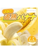 【訳あり】追熟バナナ エクアドル産 1.5kg