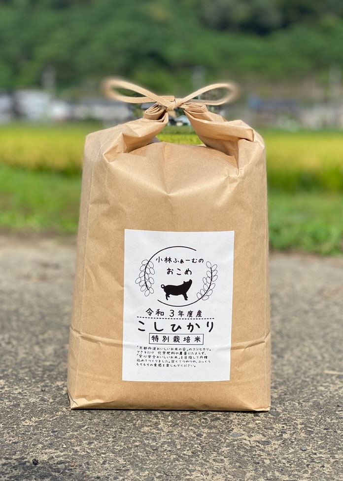 5kg|　【令和5年産】京都丹波コシヒカリ　特別栽培米　白米お取り寄せ・通販のオンワード・マルシェ