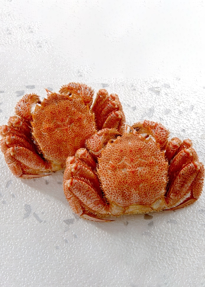 北海道産　ゆで毛蟹（2尾計約800g）|蟹お取り寄せ・通販のオンワード・マルシェ