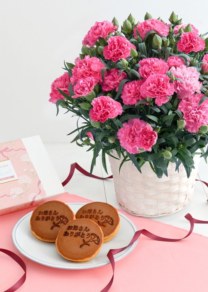 【ホシファーム】カーネーション＆徳島なると金時のどら焼き