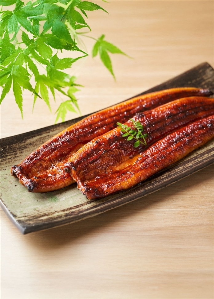 浜松・浜名湖うなぎ特大蒲焼（4人前）