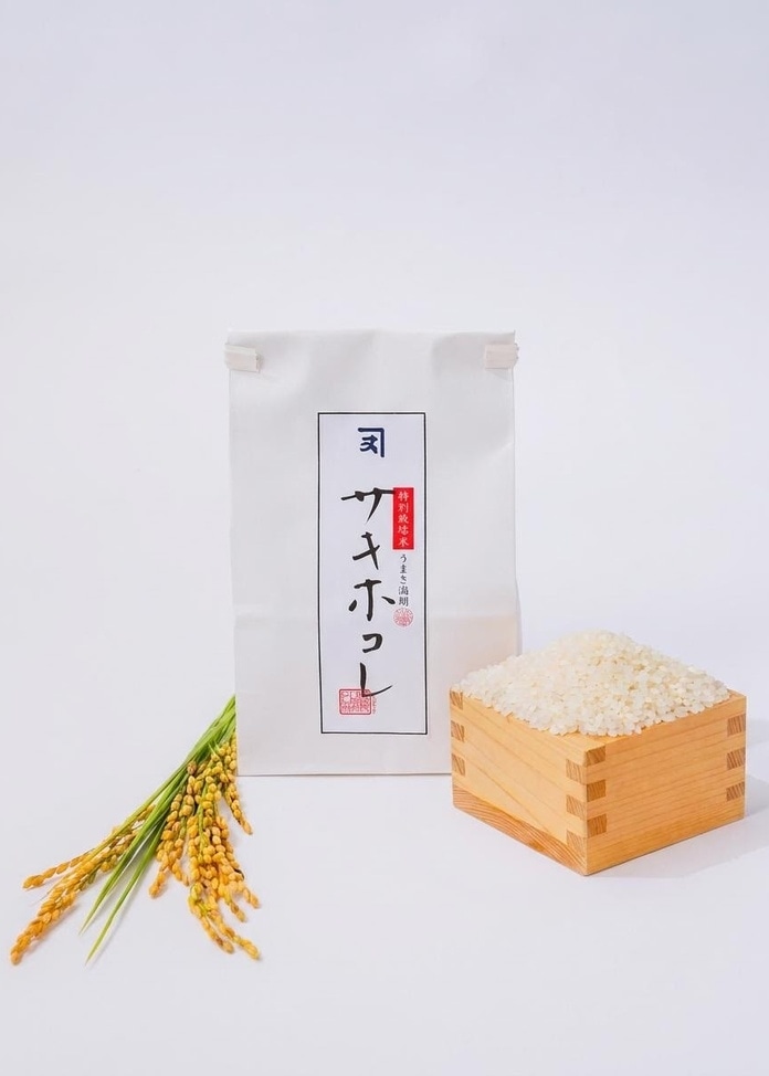定期便 全3回【令和8年産】秋田県産 特別栽培米サキホコレ 6kg(2kg×3)
