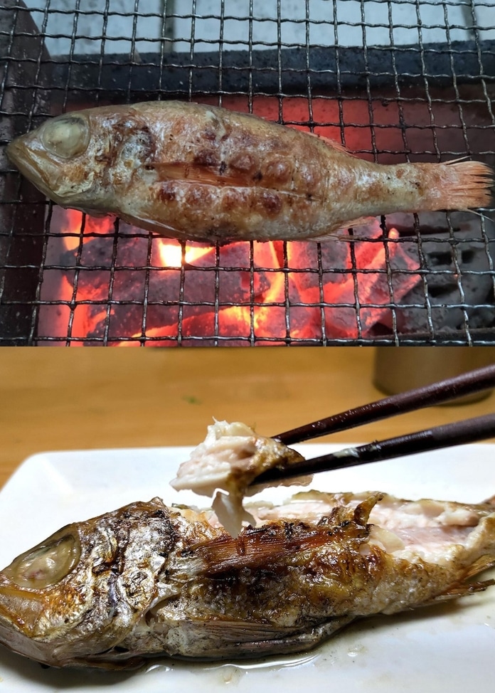 のどぐろ姿焼き用 約100～140g×5尾