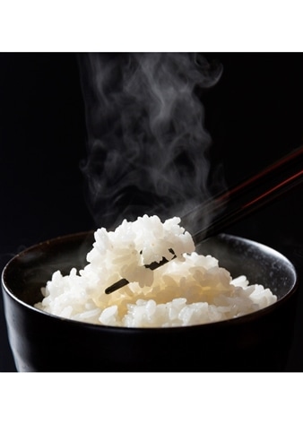 【令和5年産】富山県産有機JAS認証コシヒカリ タイワ米無洗米 10kg