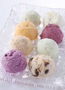 阿蘇小国ジャージー牛乳のアイスクリーム 8種セット (季節フレーバー入り）