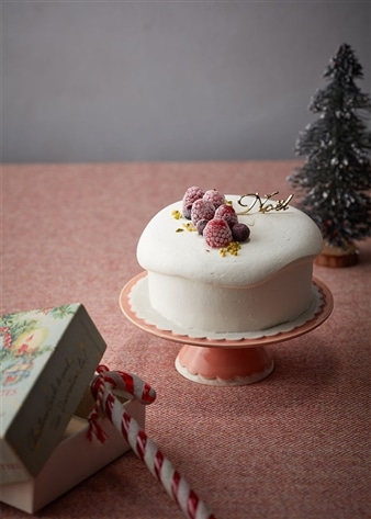 【オンワード・マルシェ限定】クリスマスPSポッテアイスケーキ