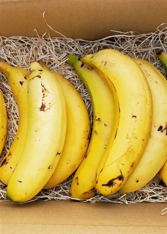 宮崎産バナナ「NEXT716」6本セット| 果物お取り寄せ・通販のオンワード 